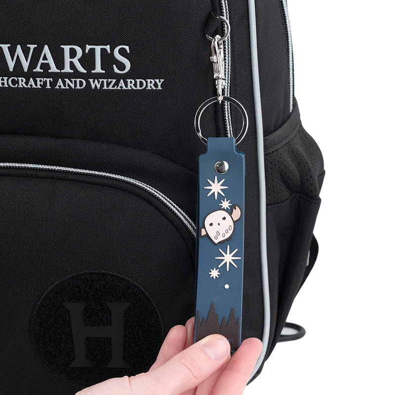 Kite Harry Potter Badge and Keychain Set – Rubber Badge, Metal Carabiner