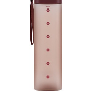 Square water bottle Kite, 700 ml, burgundy