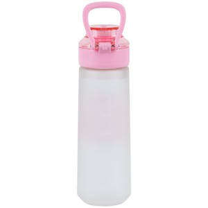 Kite Gray & Pink Water Bottle 760 ml